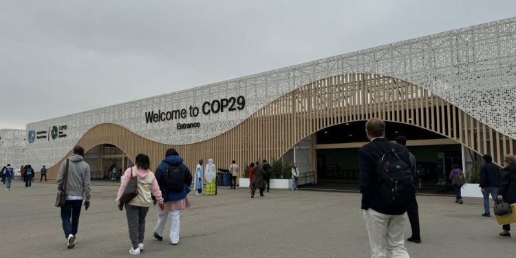 COP 29