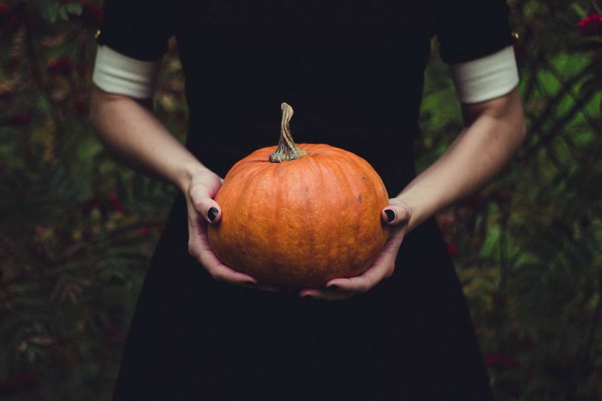 Scopa Saggina Piccola per Halloween